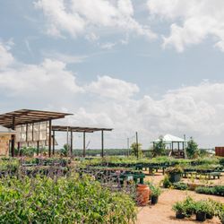 Spring Creek Gardens
