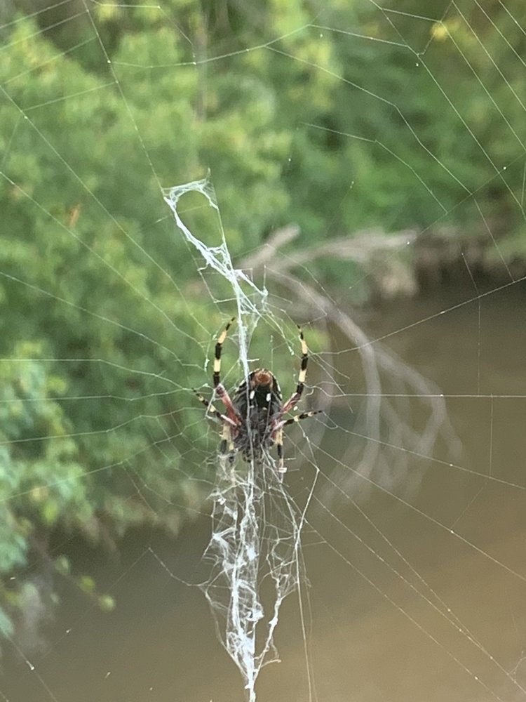 CONESTEE NATURE PRESERVE 111 Photos & 27 Reviews 840 Mauldin Rd