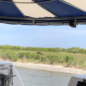 Assateague Adventure - Boating Near Me - Ocean City, Maryland Assateague Adventure - Boating Near Me - Ocean City, Maryland