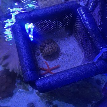 Premier Aquatics - Aquarium Services Near Me - Marietta, Georgia Premier Aquatics - Aquarium Services Near Me - Marietta, Georgia