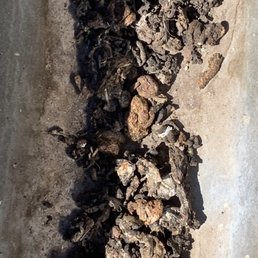 A lot of Pigeon waste left behind by Rodrigo! A lot of Pigeon waste left behind by Rodrigo!