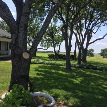 Rodriguez Tree Service - Tree Services Near Me - Dallas, Texas Rodriguez Tree Service - Tree Services Near Me - Dallas, Texas