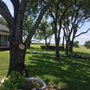 Photo of Rodriguez Tree Service