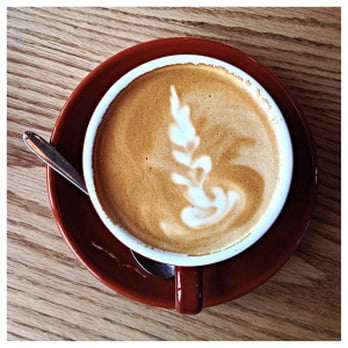 Hungry Ghost - Cappuccino - Coffee & Tea Near Me - Brooklyn, New York Hungry Ghost - Cappuccino - Coffee & Tea Near Me - Brooklyn, New York