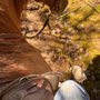 Photo of JSA Ranch