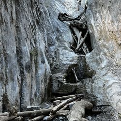 Little Falls - June 2022