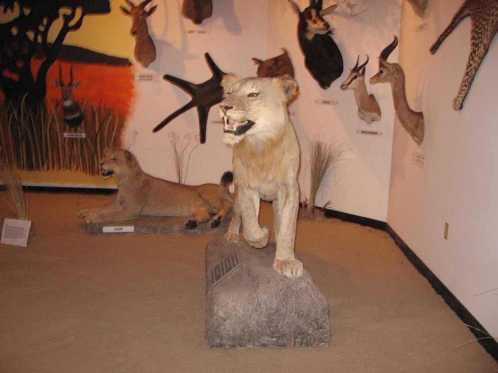 SHEETS WILDLIFE MUSEUM Updated September 2024 200 Safari Trl