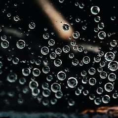 SELECT SOURCE WATER - Updated March 2026 - 39 Photos & 19 Reviews ...