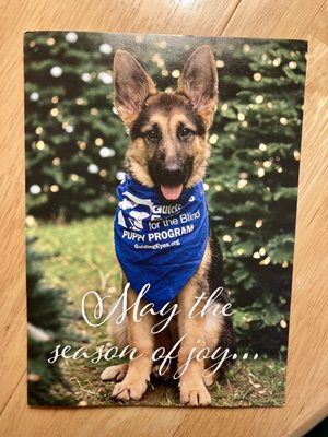 Guiding Eyes for the Blind by null