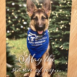 Guiding Eyes For the Blind - My Christmas Card from my friend who supports this nonprofit. 12/08/23