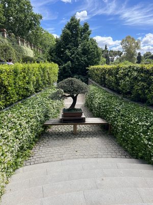 Real Jardín Botánico by null
