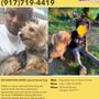 Photo of Secaucus Animal Shelter