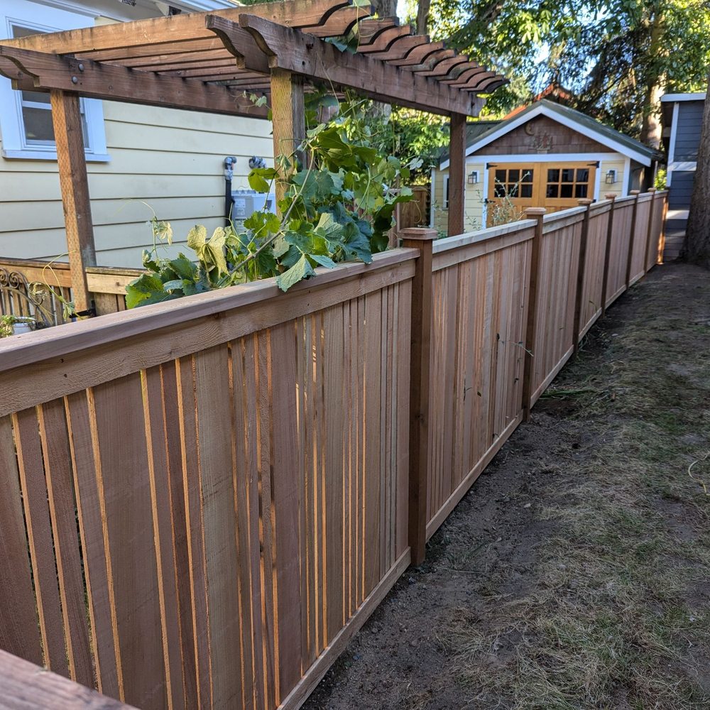 206 Fencing - Fence after installation - Fences & Gates Near Me
