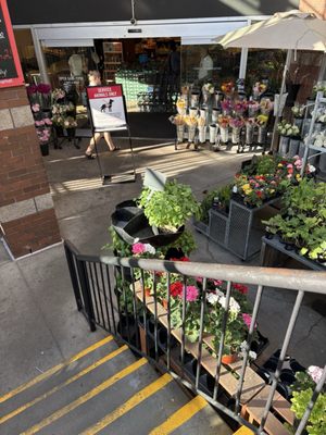 Metropolitan Market by null