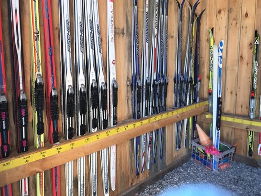 Roberts Farm Preserve Trails by null