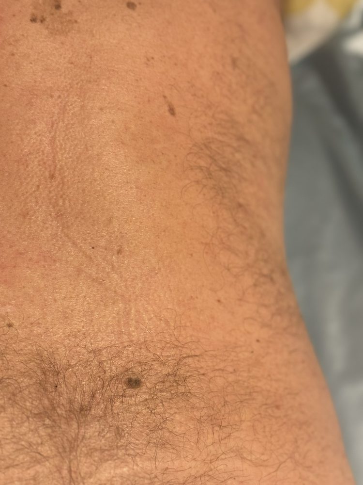 Dandelion Beauty Bar Logo