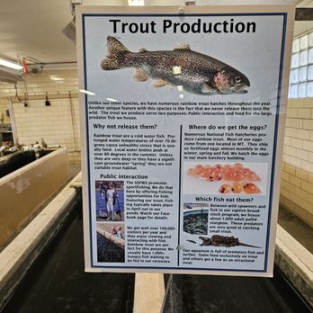 Gavins Point National Fish Hatchery - Trout production - Attraction Farms Near Me - Yankton, South Dakota Gavins Point National Fish Hatchery - Trout production - Attraction Farms Near Me - Yankton, South Dakota