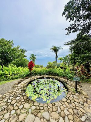 Garden of Eden Arboretum by null