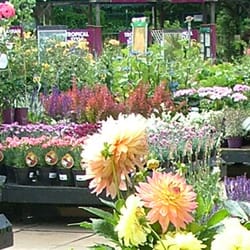 Squire's Garden Centre