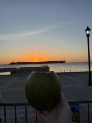 Sunset Celebration at Mallory Square by null