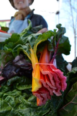 Prescott Farmers Market by null