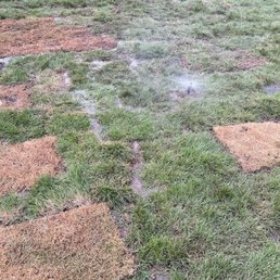 Yard floods now and never did before