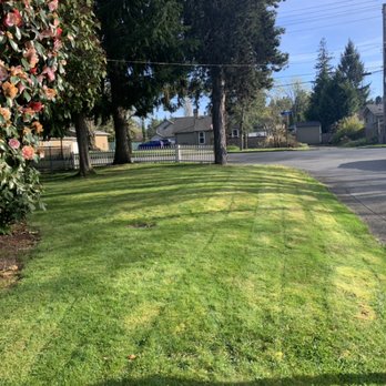 Cartwright Cutting - Lawn Services Near Me Cartwright Cutting - Lawn Services Near Me