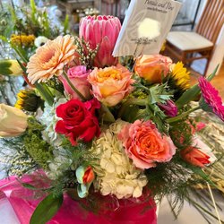 Freesia and Vine