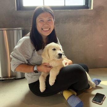 Puppies & Yoga - Golden Retriever - Yoga Near Me - Providence, Rhode Island Puppies & Yoga - Golden Retriever - Yoga Near Me - Providence, Rhode Island