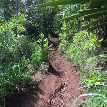 Kalalau Trail - Hiking Near Me - Hanalei, Hawaii