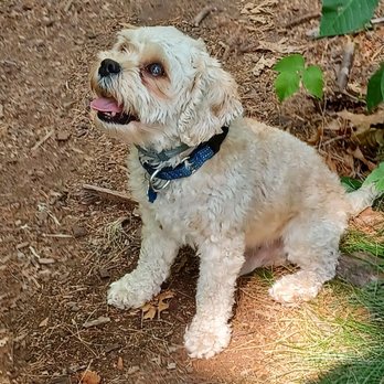 Earthwise Pet - Pet Stores Near Me - Seabrook, New Hampshire
