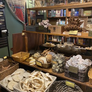 Curious Nature - Antiques Near Me - Phoenix, Arizona