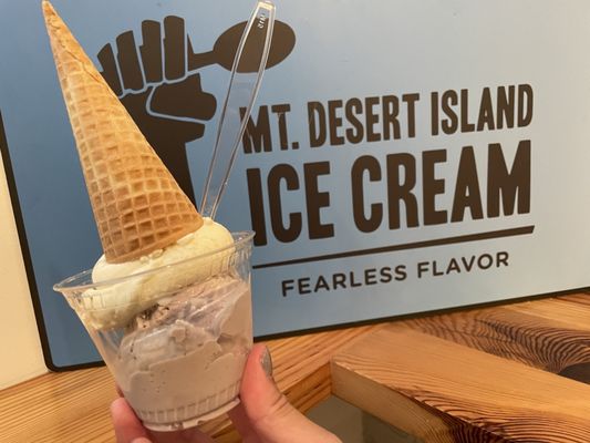 Mount Desert Island Ice Cream by null