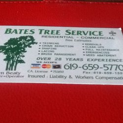 Bates Tree Service - Wonderful and fast. Best price in town.