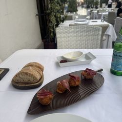 Oliva Iberoteca