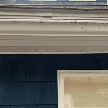 Summit Exteriors - Picture of all gutters hung incorrectly at wrong pitch and too low by a 17 year old subcontractor unsupervised. - Roofing Near Me - Milford, Pennsylvania Summit Exteriors - Picture of all gutters hung incorrectly at wrong pitch and too low by a 17 year old subcontractor unsupervised. - Roofing Near Me - Milford, Pennsylvania