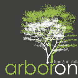 Arbor One Tree Specialist