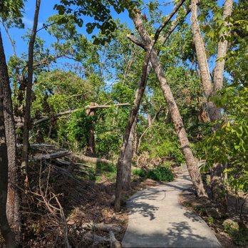Compton Gardens & Arboretum - Lots of trees down after the storm - Parks Near Me - Bentonville, Arkansas Compton Gardens & Arboretum - Lots of trees down after the storm - Parks Near Me - Bentonville, Arkansas