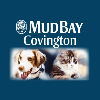 mud bay cat litter