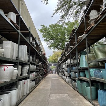 Jacksons Home & Garden - Dallas' best selection of oversized pots - Home & Garden Near Me - Dallas, Texas Jacksons Home & Garden - Dallas' best selection of oversized pots - Home & Garden Near Me - Dallas, Texas