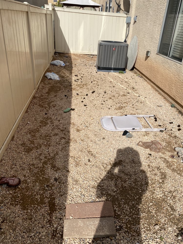 POOPY SCOOPY Updated August 2024 232 Photos & 40 Reviews Las