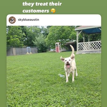 SkyBlue Kennels - Pet Training Near Me - Austin, Texas SkyBlue Kennels - Pet Training Near Me - Austin, Texas