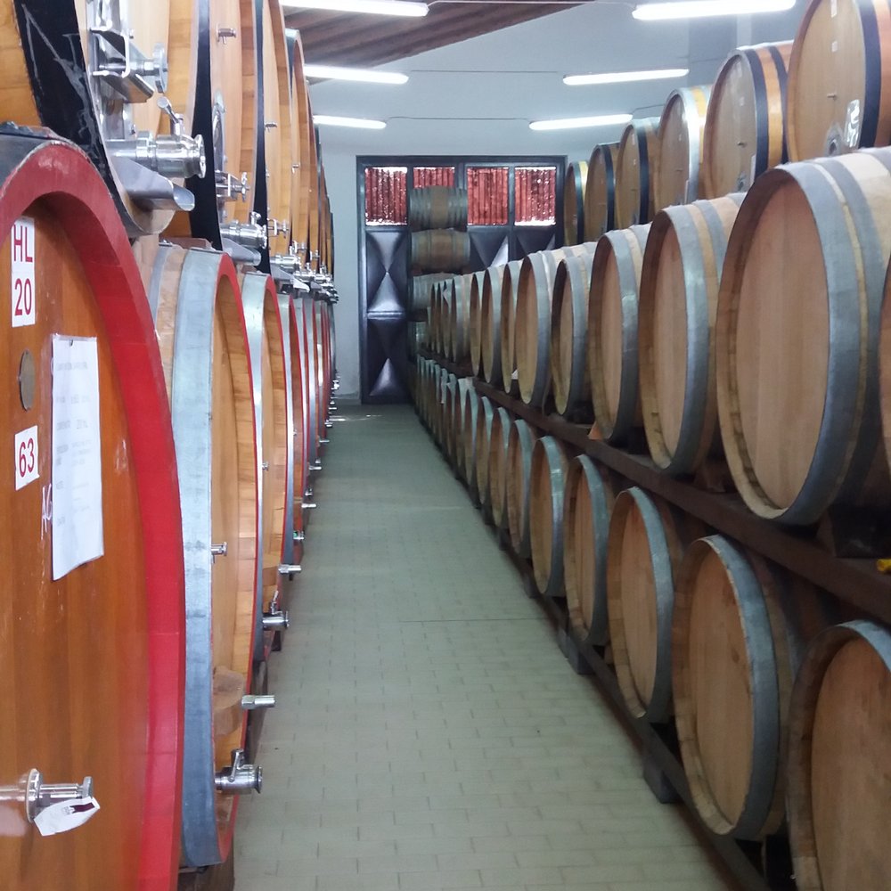 Cantine Don Saro - wine barrels - Wine Tours Near Me - Linguaglossa, Connecticut