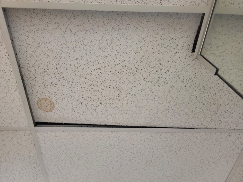 Slide of Everyday Handyman