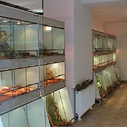 Der Terraristikladen