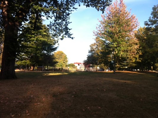 Guelph Park by null