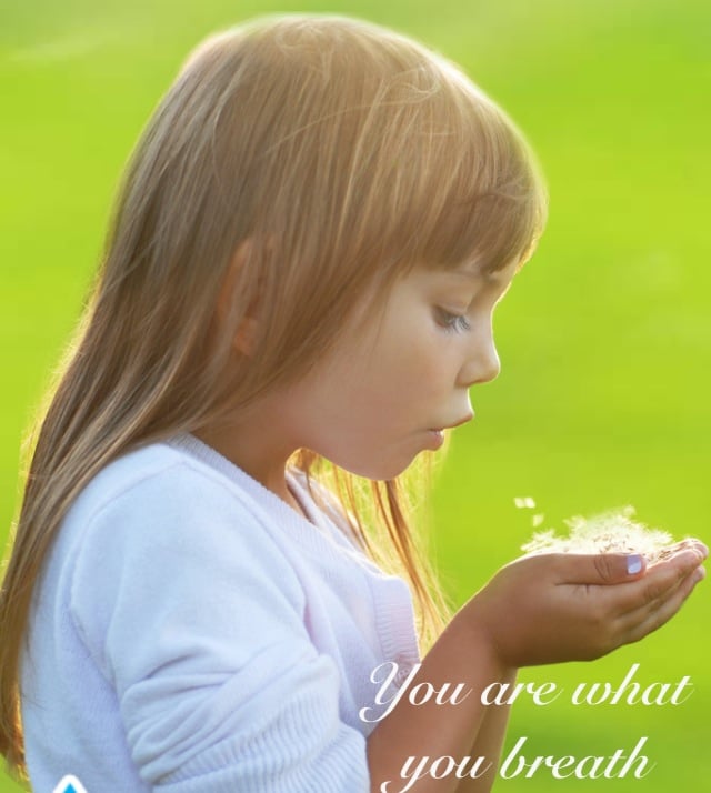 Slide of Sky Air Services