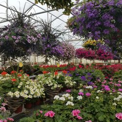 Greco's Indoor/Outdoor Garden Center