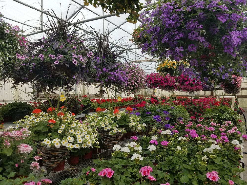 GRECO’S INDOOR/OUTDOOR GARDEN CENTER Updated July 2024 12219 E 11