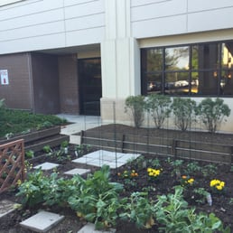This is the chef's garden. This is the chef's garden.